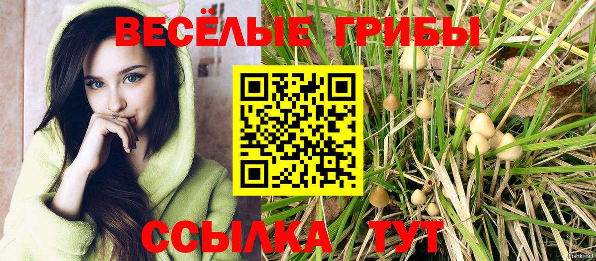 Псилоцибиновые грибы Magic Shrooms  как найти наркотики  Псилоцибиновые грибы MAGIC MUSHROOMS  Гудермес  Вход с VPN 